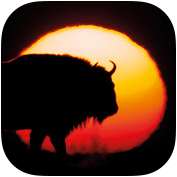 bison-bonasus-app-icon