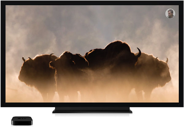 bison-bonasus-apple-tv2