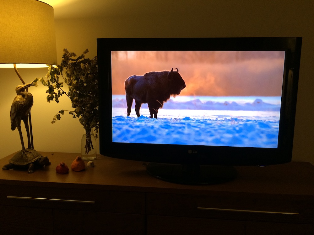 bison-bonasus-airplay-apple-tv