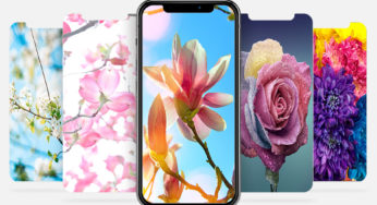 Tapety tygodnia: Wiosenny „flower power”