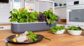 Inteligentna doniczka Smart Garden w promocji Black Friday -35%